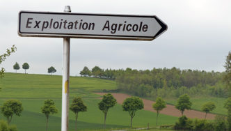Agriculture paysanne: droits des travailleurs de la terre en théorie et en pratique
